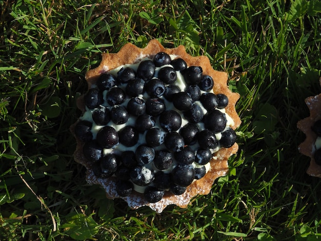 Photo a blueberry tart sits on the grass in the grass.