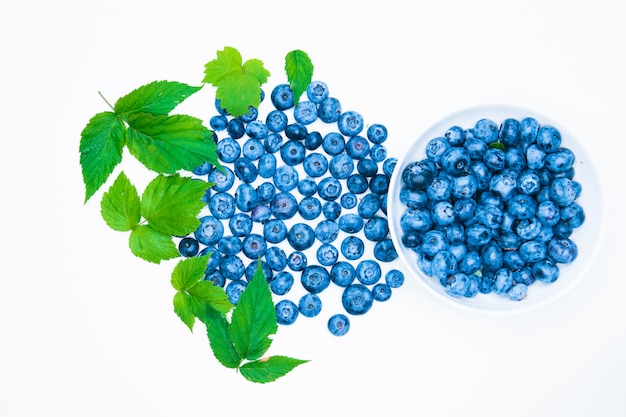 Blueberry. view from above. place for an inscription. healthy berries.