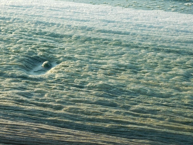 Bluegreen algae and foam on the surface of the water cyanobacteria