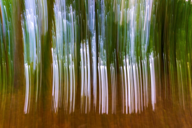 Blur and abstract photo of beautiful green plantation with natural light natural background