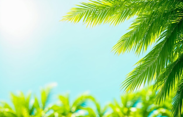 Blur beautiful nature green palm leaf on tropical beach with bokeh sun light abstract background Summer vacation and business travel concept Copy space Generative AI