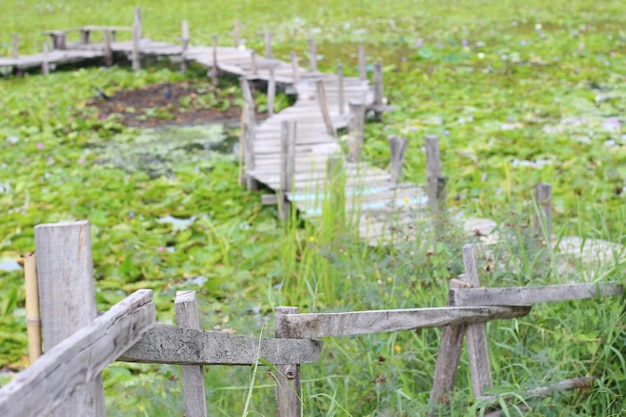 blur of wood bridge over water in park