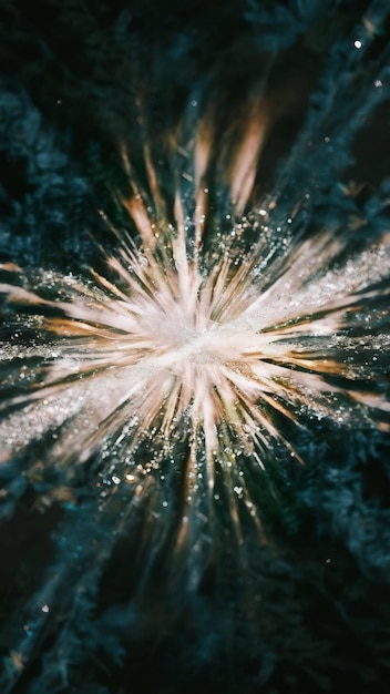 Photo blurred abstract photo of light burst among trees and glitter bo