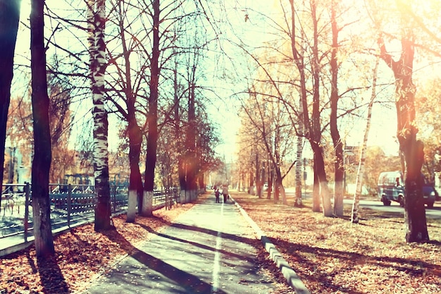 blurred autumn background park / yellow wallpaper, autumn forest, concept of seasonal landscape, trees branches, leaves