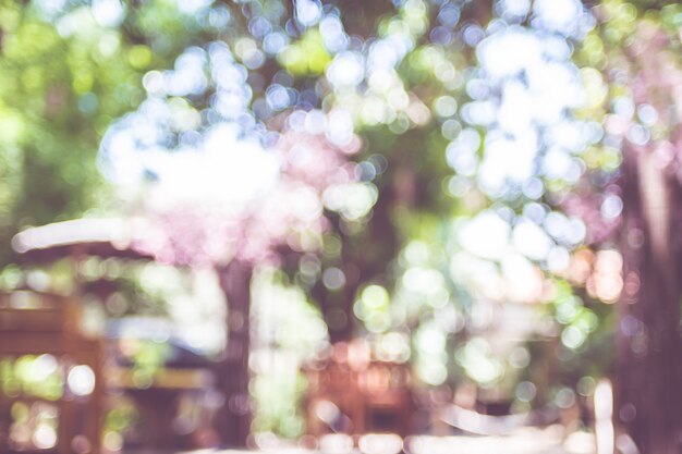 Photo blurred background of outdoor garden with tree with bokeh sun light