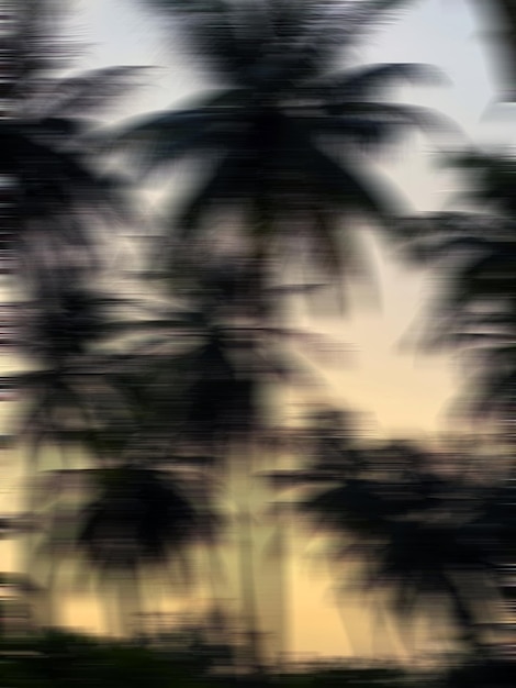 Blurred background sunset by the coconut tree on the seashore Defocused on the move photo with red sunrise