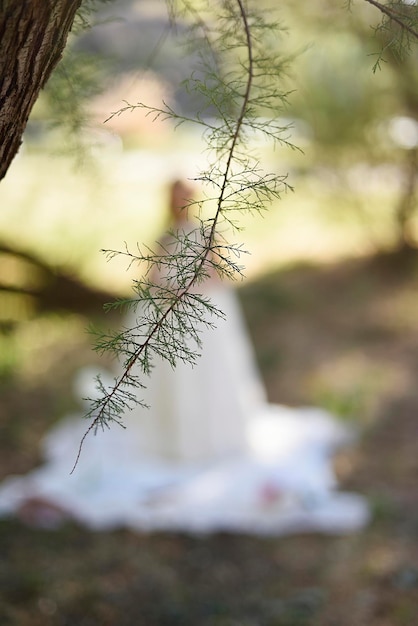 Blurred background with First Communion girl and tree twig graphic resource