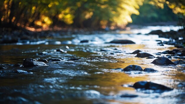 Blurred bokeh of a calm flowing river