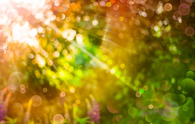 Photo blurred green background with bokeh lights and sun rays abstract nature background