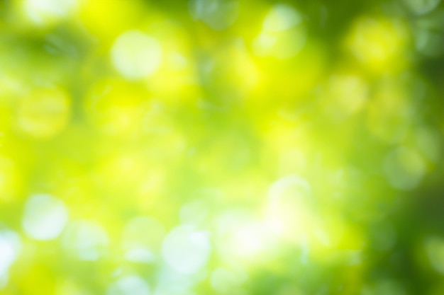 a blurred green background with the sun shining through the leaves