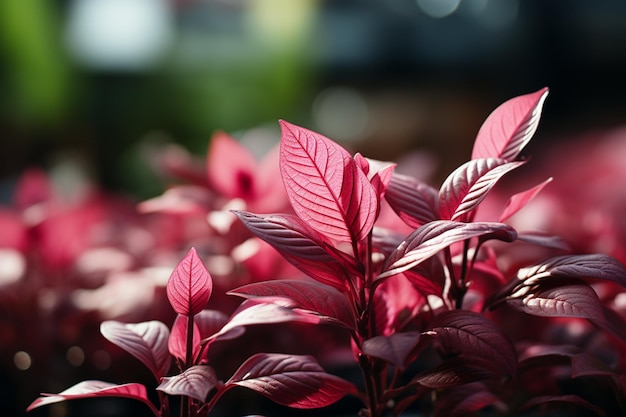 Blurred greenery backdrop accentuates a pink leaf evoking a gentle natureinspired concept