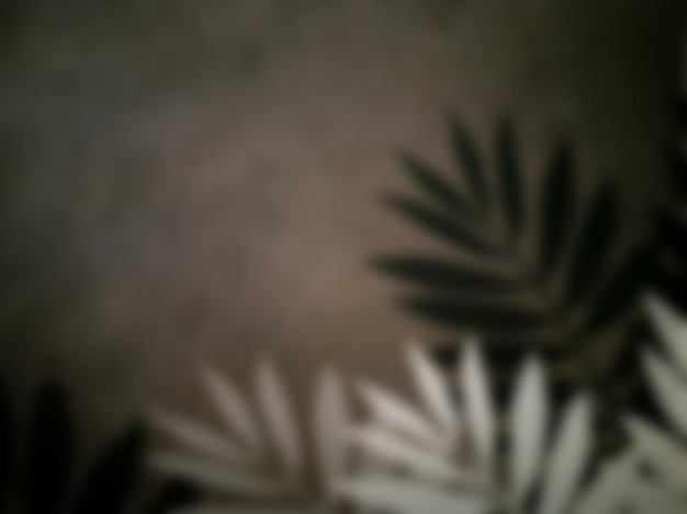 Blurred image of a dark colored wall and shadow of the leaves. Abstract and artistic backdrop