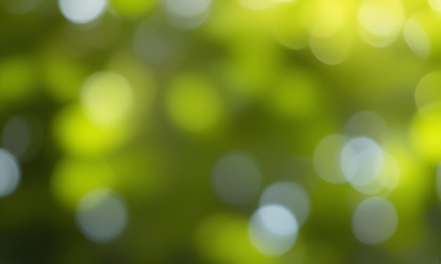 a blurred image of a green background with the sun shining through the leaves