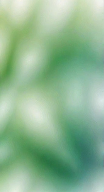 a blurred image of a green plant with a blurred background