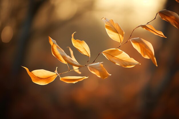 Photo blurred leaves in the wind easter day