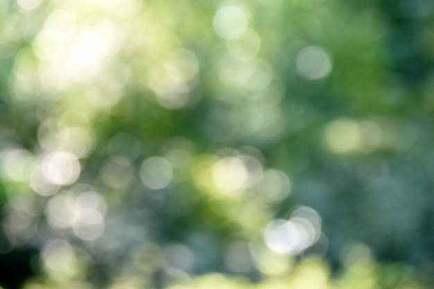 Blurred natural green background bokeh glare