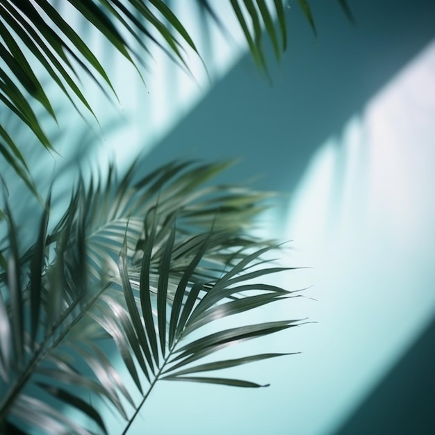 Blurred shadow from palm leaves on the light blue wall Minimal abstract background for product pres