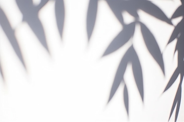 Photo blurred shadow of the palm leaves on a white wall