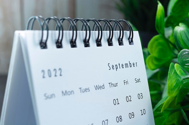 Blurred white September 2022 calendar with potted plant. 2022 New Year Concept