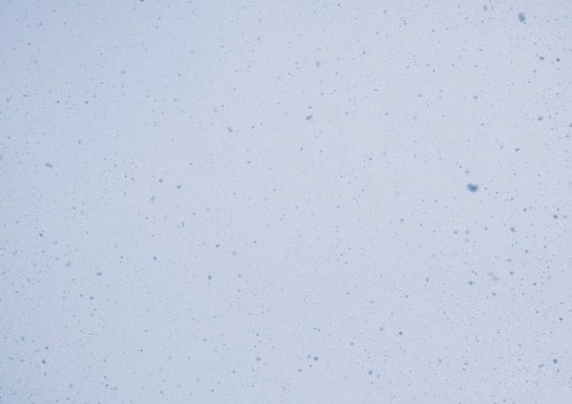 Blurred winter photo overlay. Empty space. Light background with fluffy flying snowflakes.