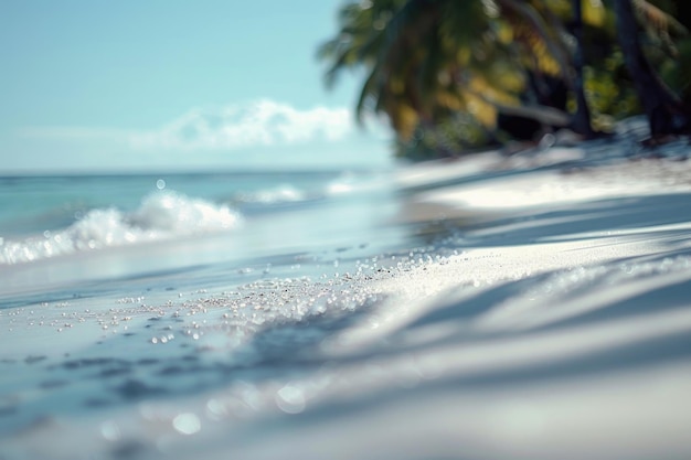 blurry beach scene with palm trees