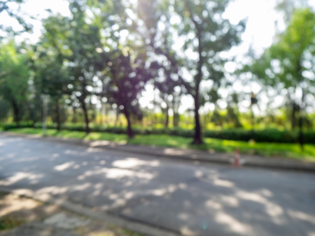 Blurry and bokeh of trees and shade, street in the park