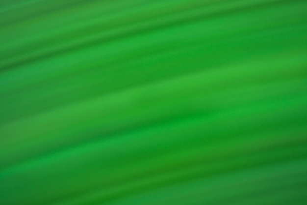 Blurry defocused dynamic abstract green background Blurred bokeh green background with motion effect