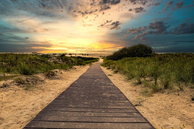 A boardwalk on the beach surrounded by greenery under the sunset sky in Borkum, Germany