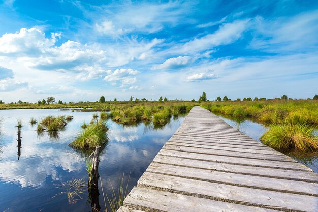 Boardwalk over a bog lake with Blue Cloudy Sky