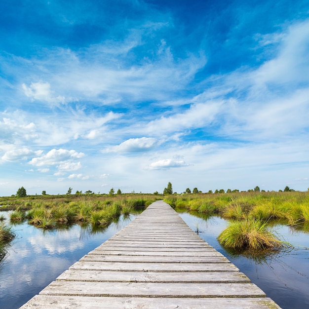 Boardwalk over a bog lake with Blue Cloudy Sky