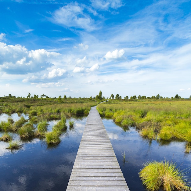 Boardwalk over a bog lake with Blue Cloudy Sky