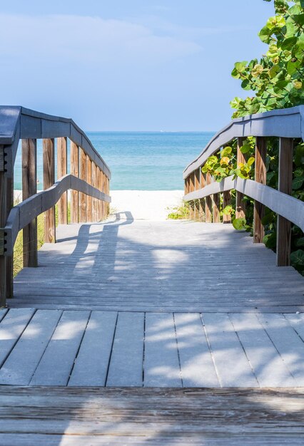 Photo boardwalk among sea oats to beach in florida