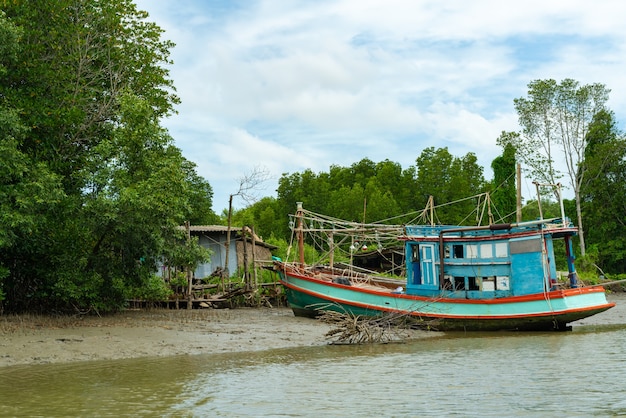 Boat and Mangrove forest, view from the water at a low tide period in Thailand.