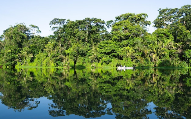 Boat sailing in the jungle