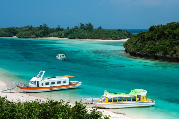 Boat tours floating in its super transparent emerald green waters surrounded by vegetation