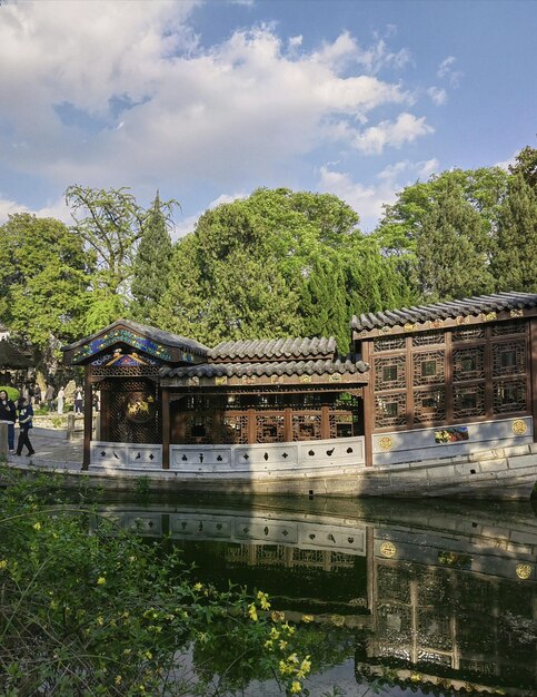 A boat on the water with a green leafy tree in the background.