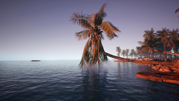 A boat in the water with a palm tree in the background