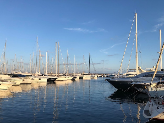 Boats in harbor