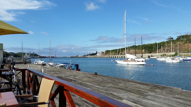 Boats in harbor