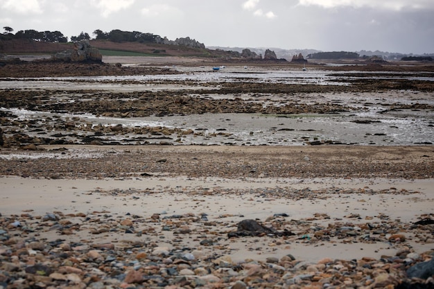 Boats at low tide