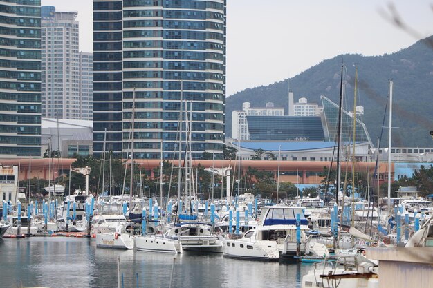 Photo boats moored in harbor against buildings in city