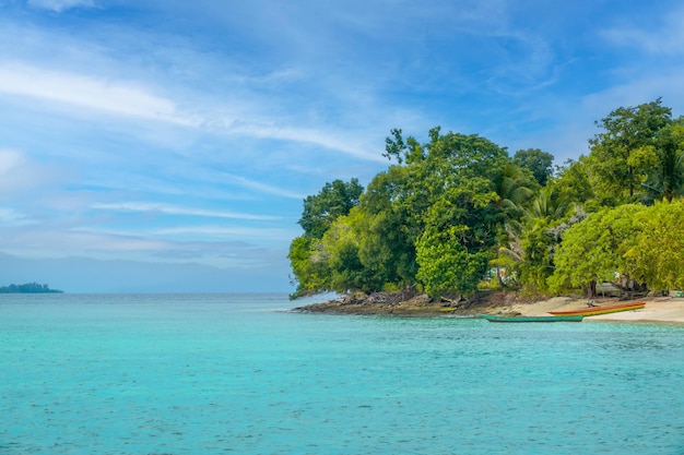 Boats on the Tropical Shore