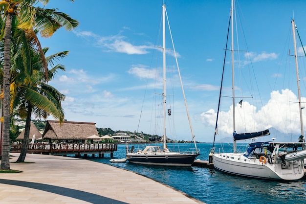 Boats and yachts in a tropical city park with palm trees in French Polynesia