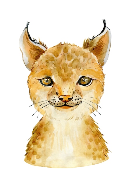 Bobcat character portrait