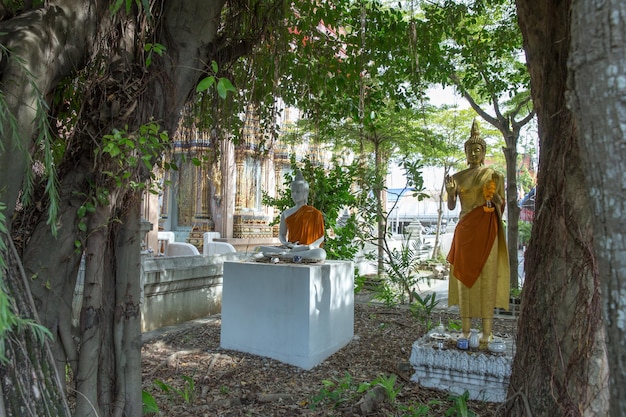 Bodhi tree in front The Statue of buddha in Wat Bang Krai Nai in Nonthaburi