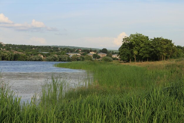 Photo a body of water with grass and trees