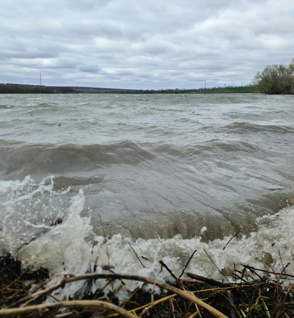 A body of water with waves crashing on the shore and a tree in the background.