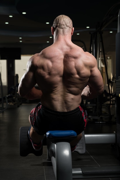 Bodybuilder Exercising Back In Gym