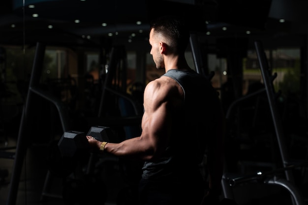 Bodybuilder Exercising Biceps With Dumbbells