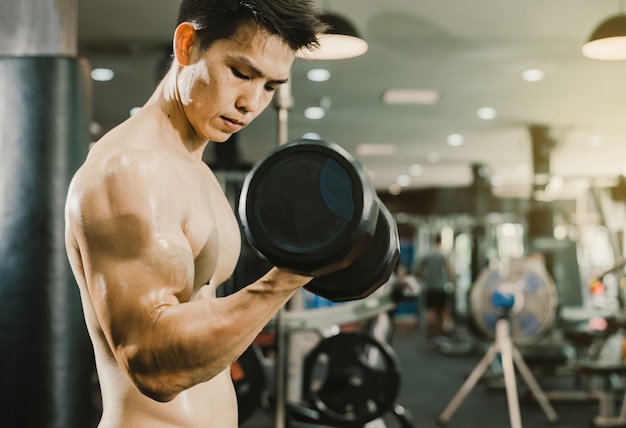 Bodybuilding male workout concept, Asian men lifting dumbbells to build muscle in fitness gym.